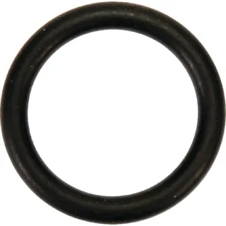 Water pump O-Ring  V614602950 Massey Ferguson (AGCO)