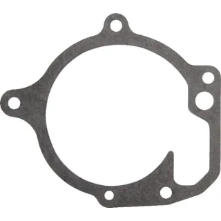 Water pump gaskets  V836764046 Massey Ferguson (AGCO)