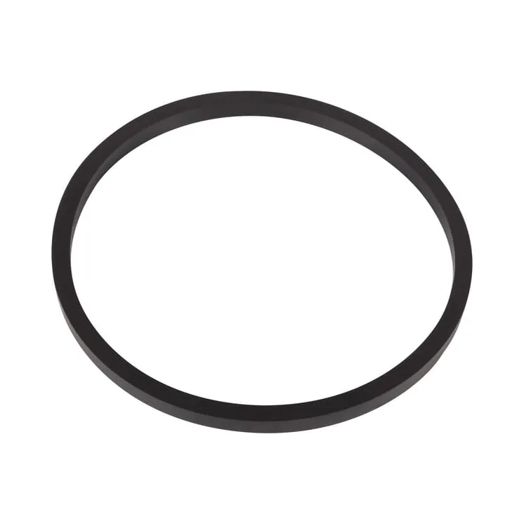 Seal  V836362229 Massey Ferguson (AGCO)
