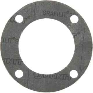 Turbo Gasket  V836767972 Massey Ferguson (AGCO) 836767972