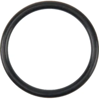 Water Pump O-Ring  V614602930 Massey Ferguson (AGCO) VPE3830