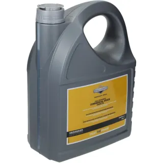Engine oil, 5l, fully synthetic, SAE 15W-50 by   100009V Briggs & Stratton