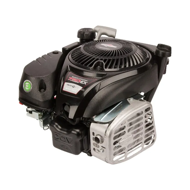 Engine, vertical, 5 HP, 750 EX series,   1008020116H5 Briggs & Stratton 1008020109B1 1008020148H5 1008020148H8YY7001 1008022109B