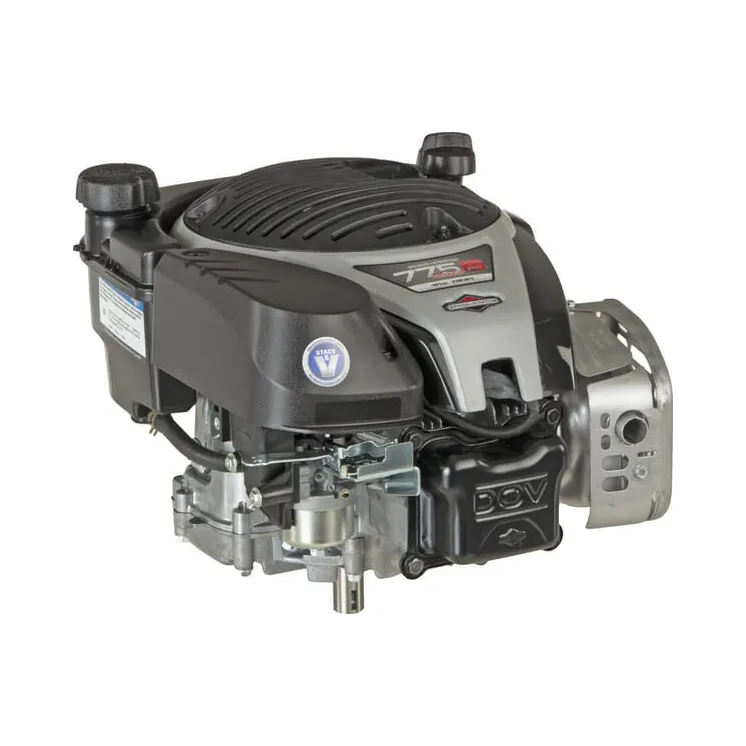 Dzinējs, vertikāls, 5 ZS, 775 EX iS sērija, 1006050039H5 Briggs & Stratton 1006050039H8