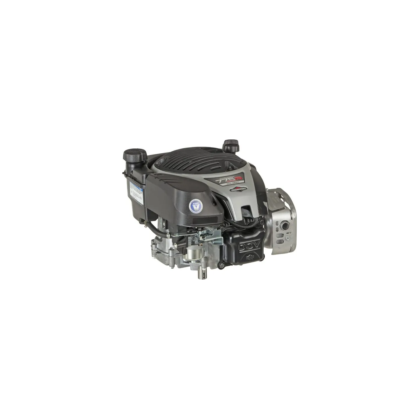 Dzinējs, vertikāls, 5 ZS, 775 EX iS sērija, 1006050039H5 Briggs & Stratton 1006050039H8