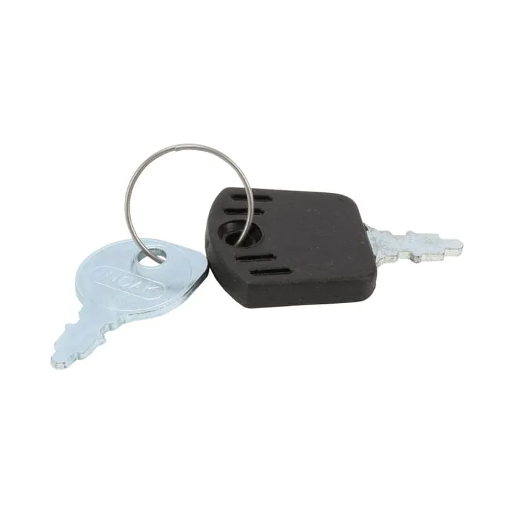 Ignition key Indak  1717163SM Briggs & Stratton
