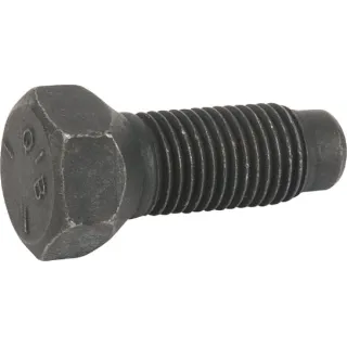 Skrūve-Ritenis 7/16-20X0.  1729280SM Briggs & Stratton