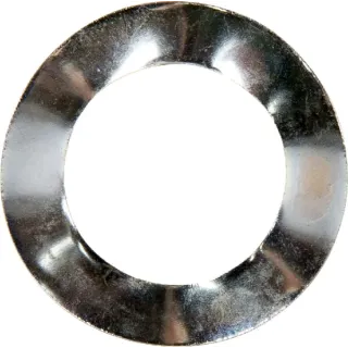 Lockwasher 1A6460  1724315SM Briggs & Stratton