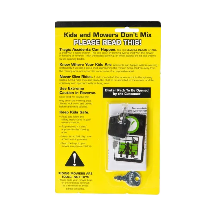 Ignition key  1737837YP Briggs & Stratton