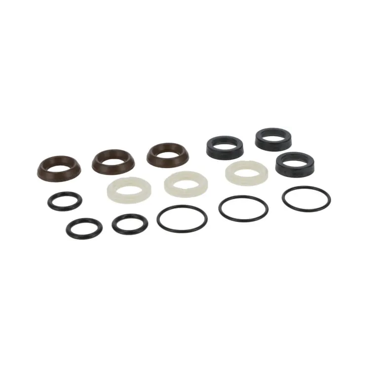 Water seal kit  198845GS Briggs & Stratton