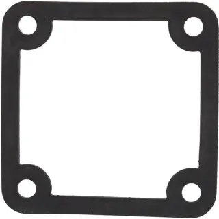 Discharge gasket  197759GS Briggs & Stratton
