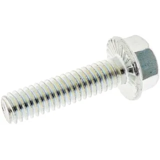 Screw 5/16-18 x 1 1/4  1930595SM Briggs & Stratton