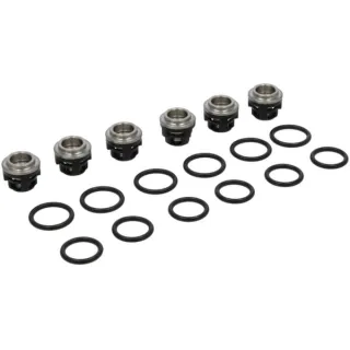 Check valve kit  193955GS Briggs & Stratton