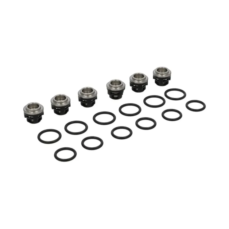 Check valve kit  193955GS Briggs & Stratton