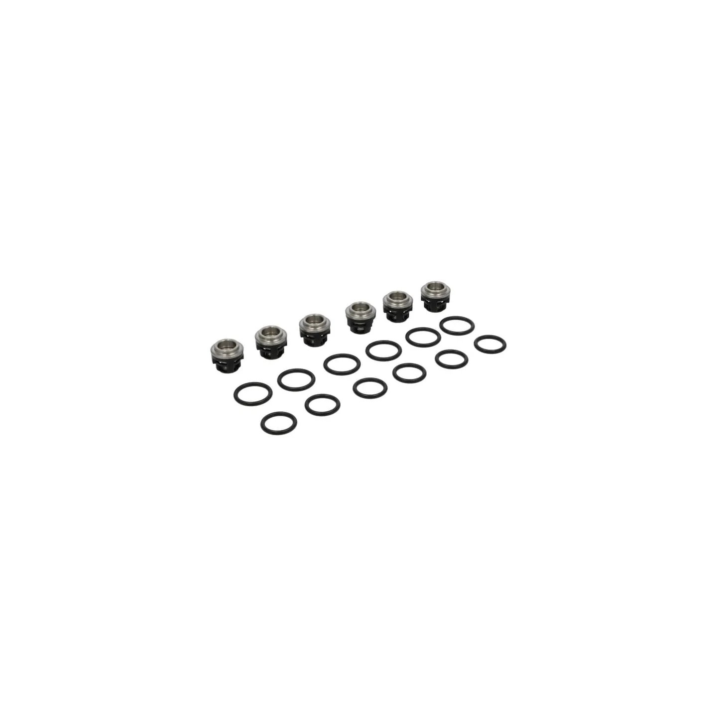 Check valve kit  193955GS Briggs & Stratton