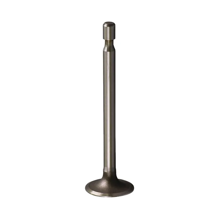 Intake valve  261055S Briggs & Stratton