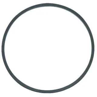 Gasket float bowl  281165S Briggs & Stratton