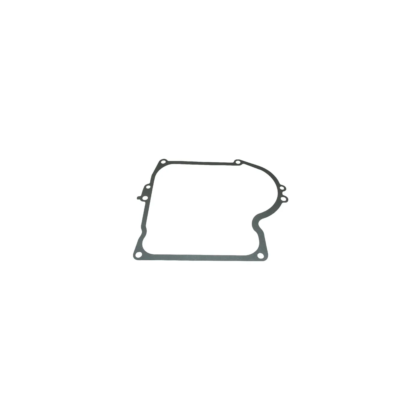 Crankcase gasket  271702S Briggs & Stratton