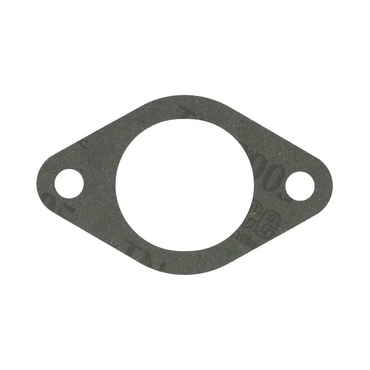 Intake gasket  272569S Briggs & Stratton