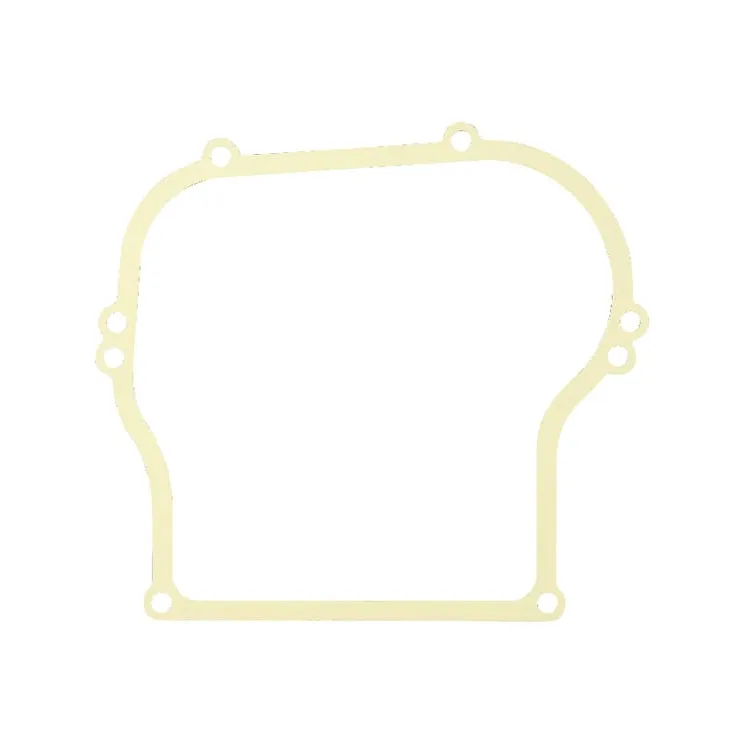 Crankcase gasket  270125 Briggs & Stratton 49059R FGP010497