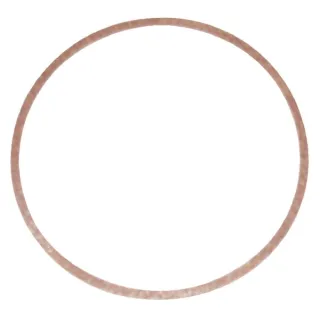 Gasket float bowl (4169)  270511 Briggs & Stratton 49127R FGP010537