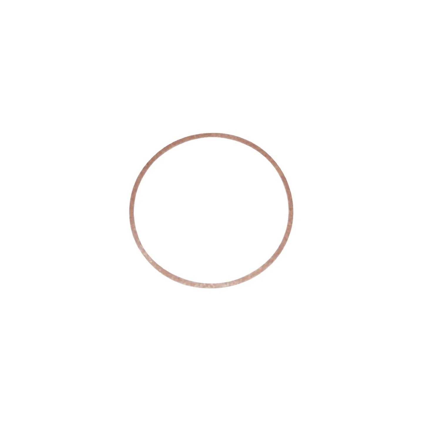 Gasket float bowl (4169)  270511 Briggs & Stratton 49127R FGP010537