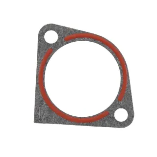 Intake gasket  273326S Briggs & Stratton
