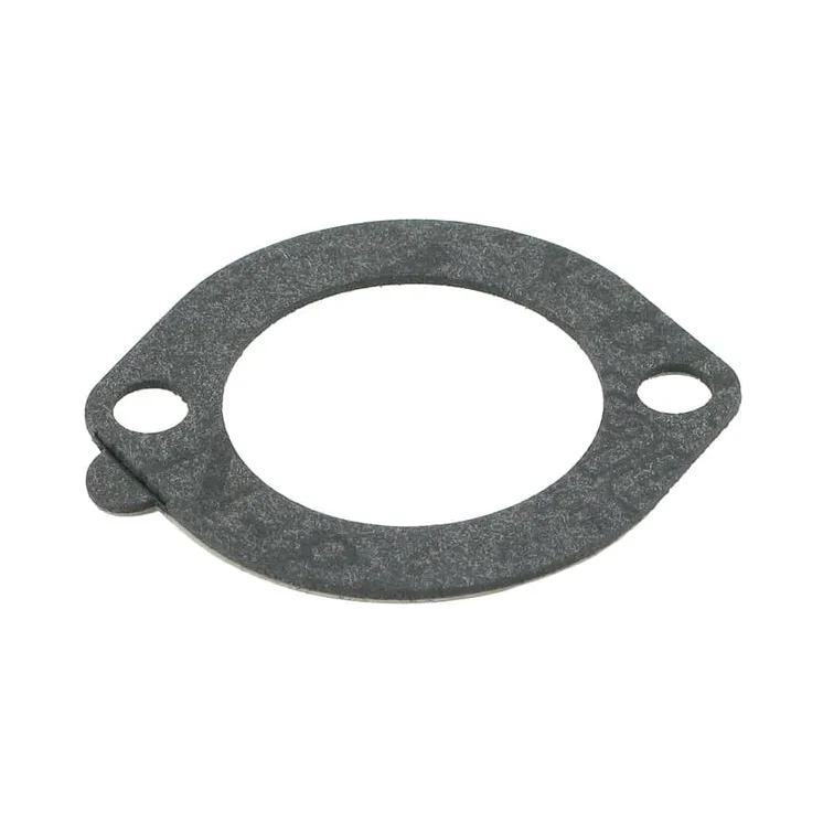 Filter gasket  271935S Briggs & Stratton