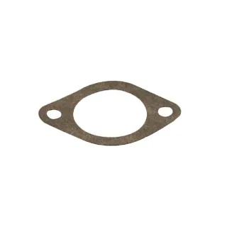 Intake gasket  27381S Briggs & Stratton 49118R FGP010533