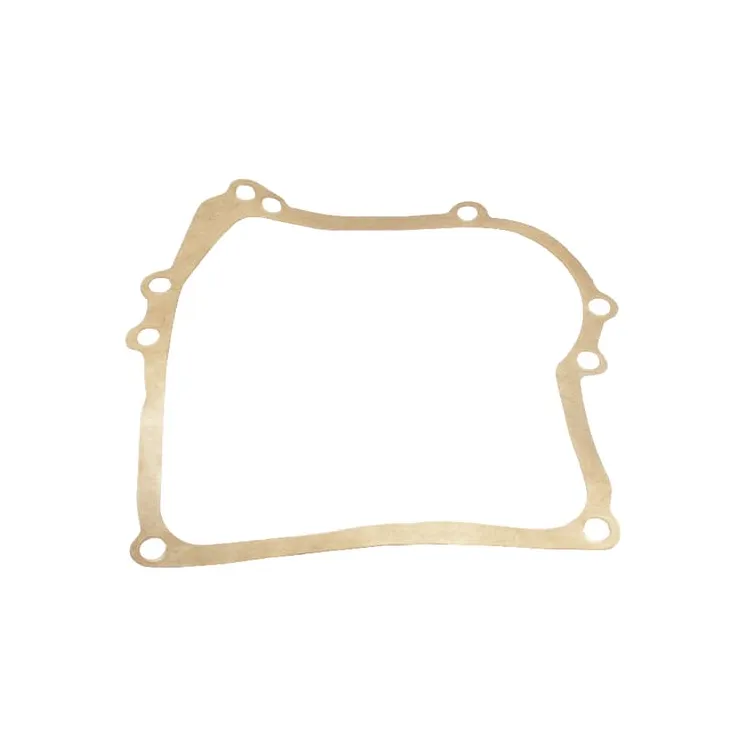 Crankcase gasket  270895 Briggs & Stratton 50107R FGP010588