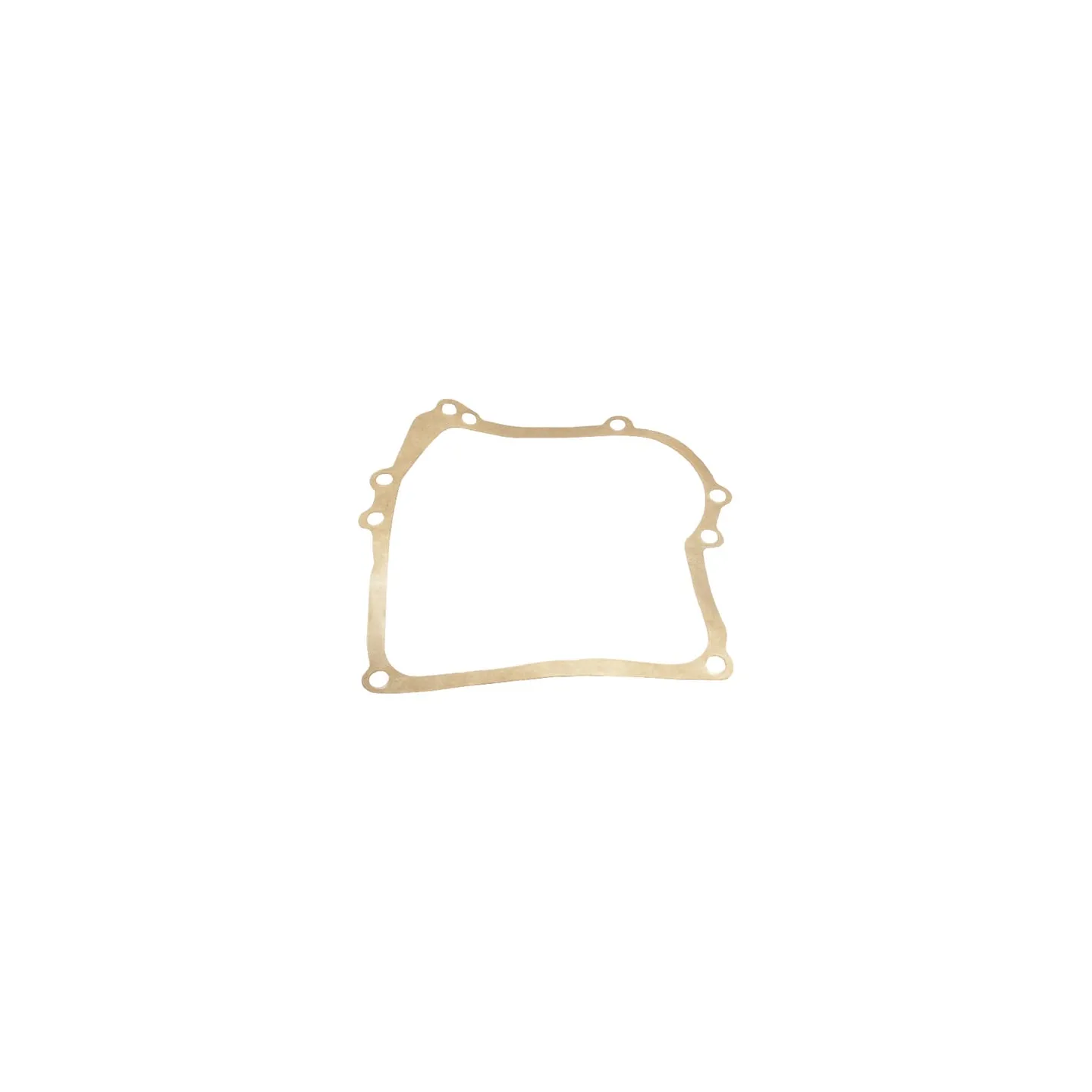 Crankcase gasket  270895 Briggs & Stratton 50107R FGP010588