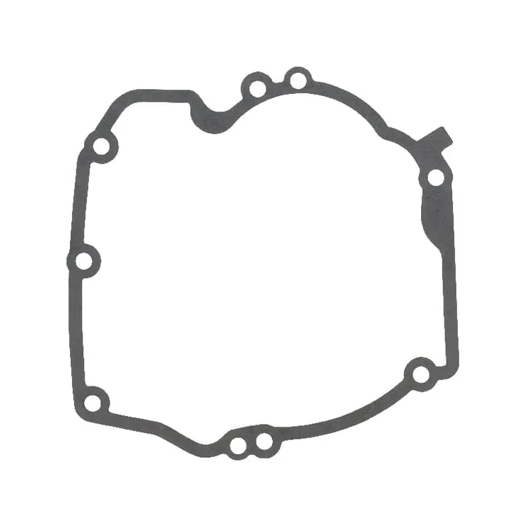 Crankcase gasket  272324 Briggs & Stratton