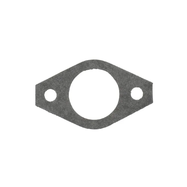 Intake gasket  270684 Briggs & Stratton 49090R FGP010520
