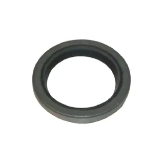 Eļļas blīve 294606S Briggs & Stratton
