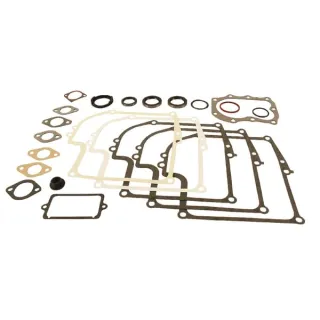 Gasket set  299577 Briggs & Stratton 50403R 50409R FGP004004