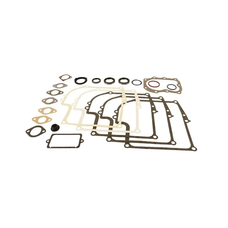 Blīvju komplekts 299577 Briggs & Stratton 50403R 50409R FGP004004