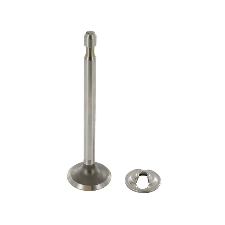 Intake valve  296677 Briggs & Stratton 36500R FGP004132