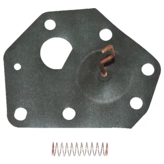 Ogļhidrātu diafragma 299637 Briggs & Stratton 49005R FGP004351