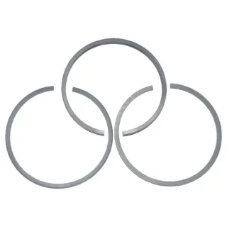 Piston ring set standard  298982 Briggs & Stratton 299742 36020R FGP010275