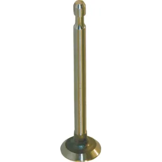 Exhaust valve  296676 Briggs & Stratton 262580 36501R 494187 FGP004131