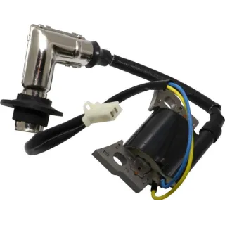 Aizdedzes spole, 317436GS Briggs & Stratton