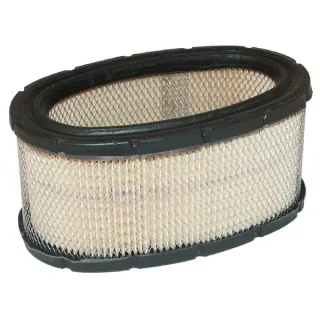 Air filter cartridge  393725 Briggs & Stratton 30105R FGP004326