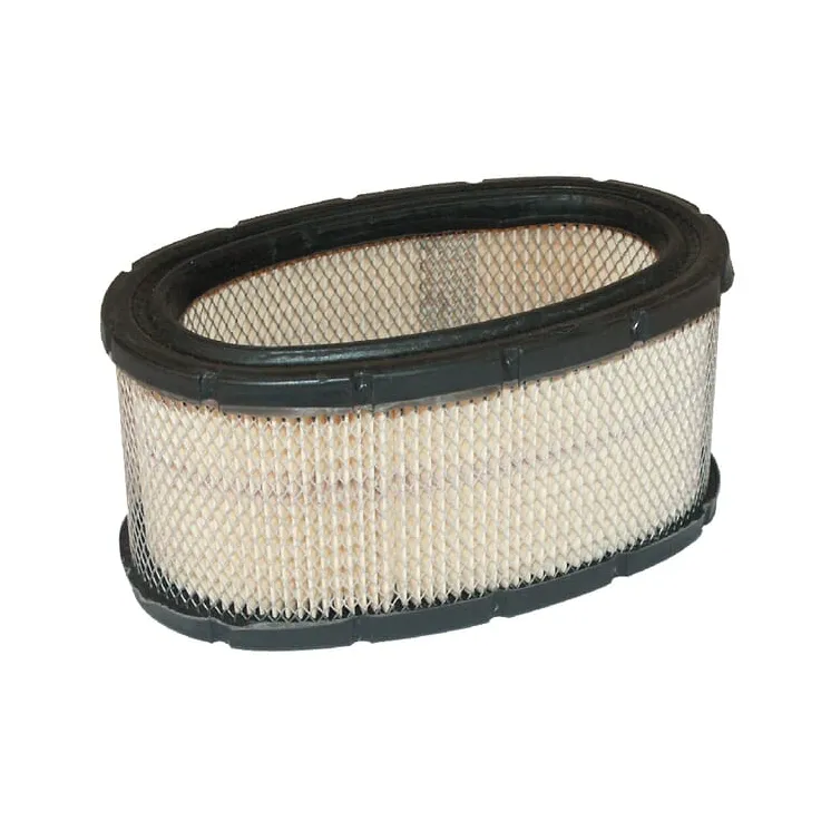 Air filter cartridge  393725 Briggs & Stratton 30105R FGP004326