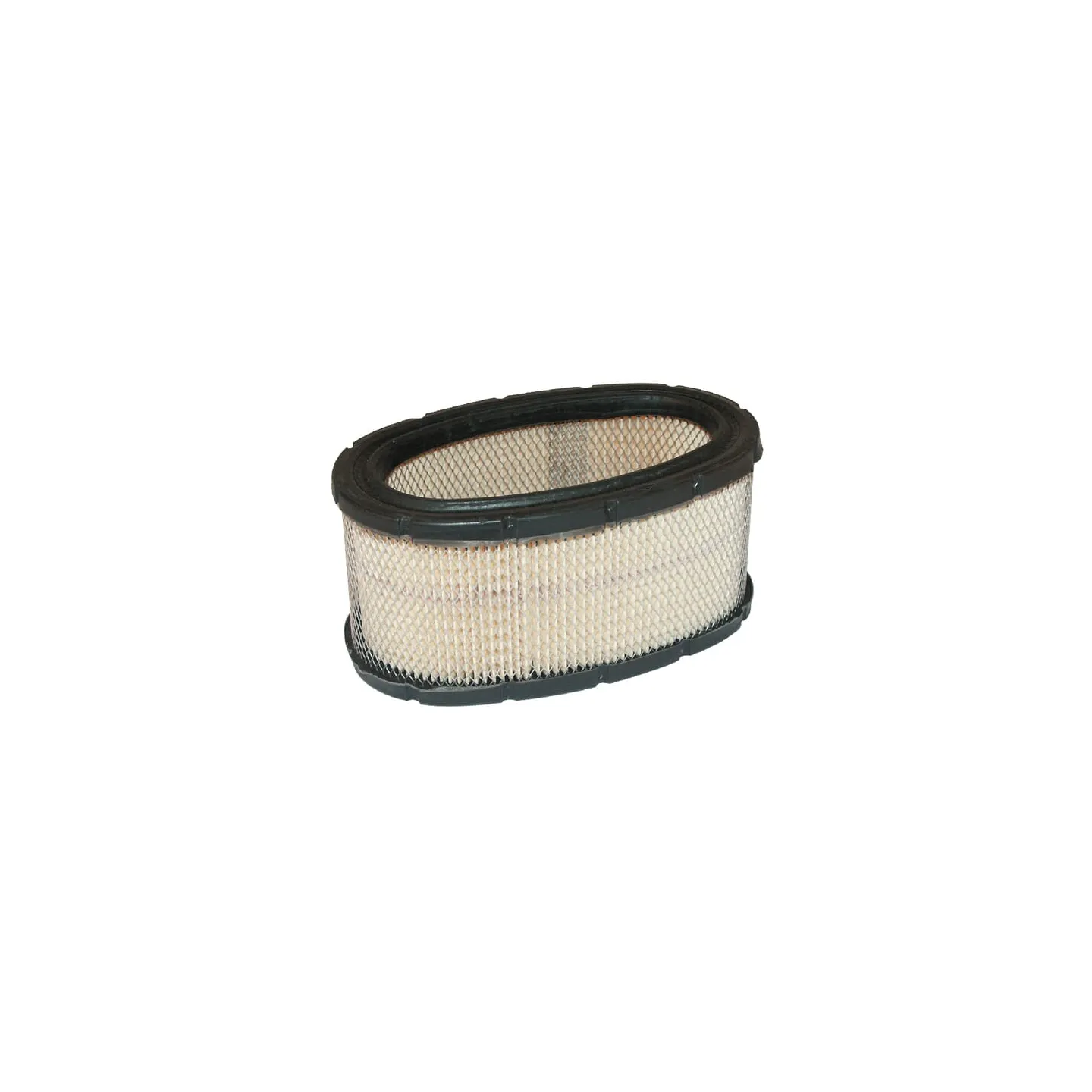 Air filter cartridge  393725 Briggs & Stratton 30105R FGP004326