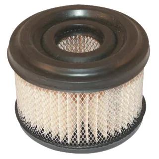 Air filter  390492 Briggs & Stratton 30097R FGP004861