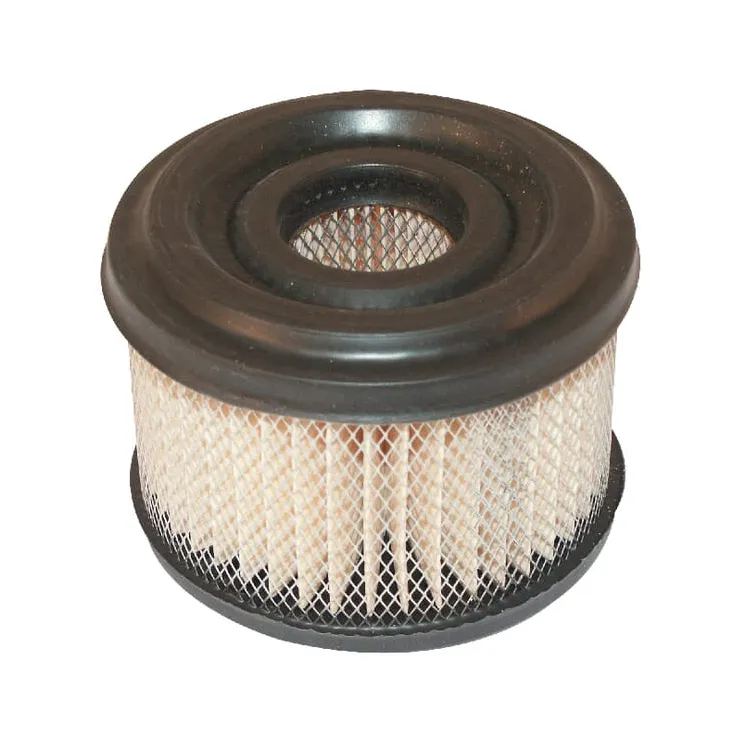 Gaisa filtrs 390492 Briggs & Stratton 30097R FGP004861