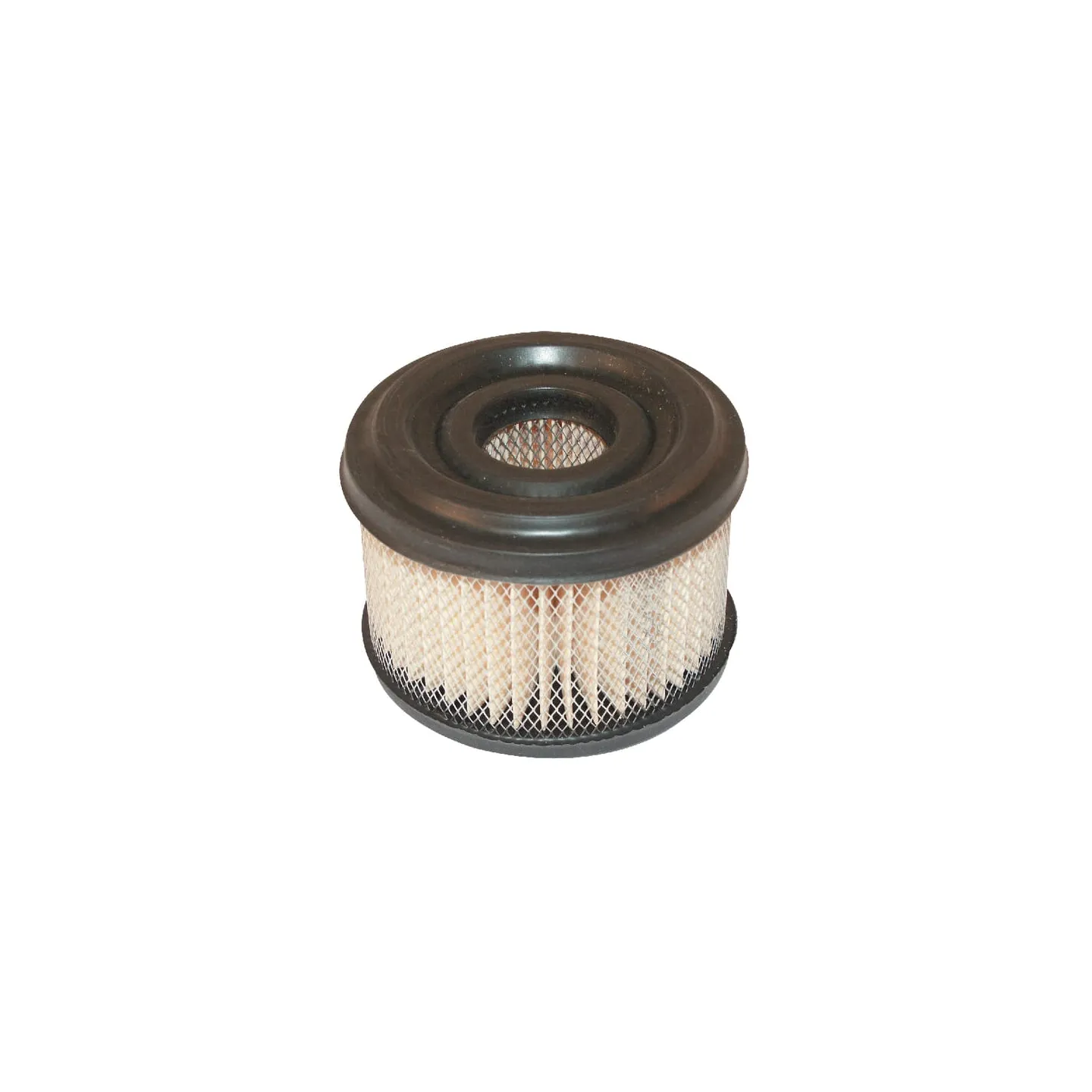Gaisa filtrs 390492 Briggs & Stratton 30097R FGP004861