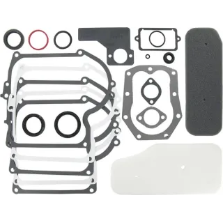 Blīvju komplekts 391807 393411 Briggs & Stratton 49412R FGP010568
