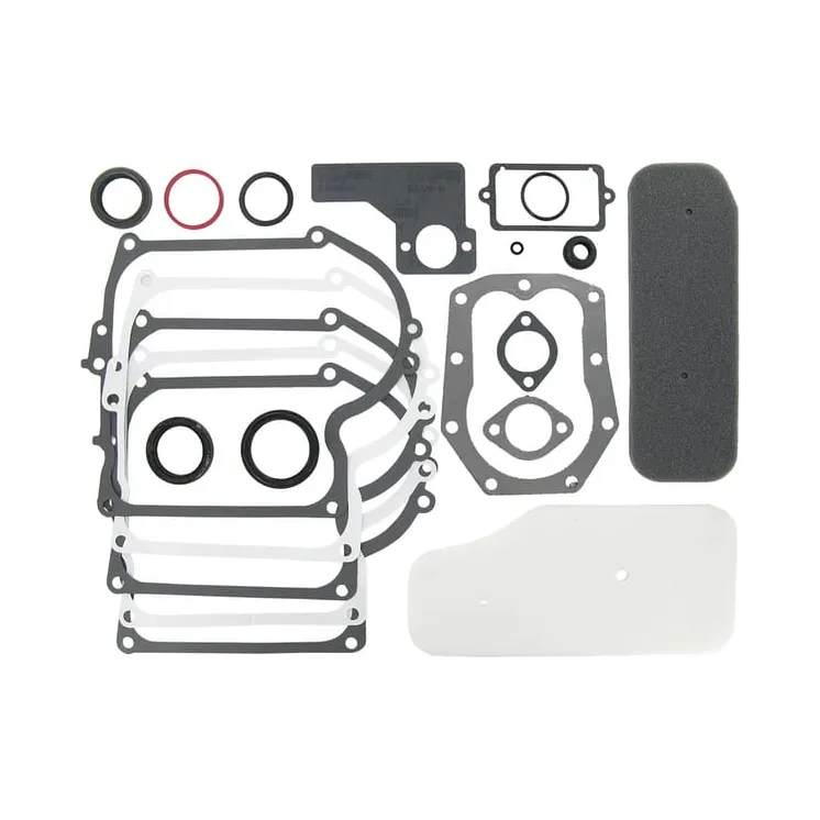 Blīvju komplekts 391807 393411 Briggs & Stratton 49412R FGP010568