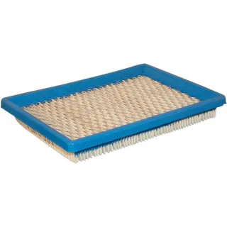Air filter cartridge (4102)  397795S Briggs & Stratton 30700R FGP004853